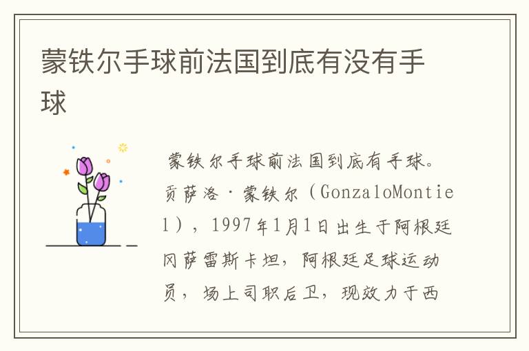 蒙铁尔手球前法国到底有没有手球