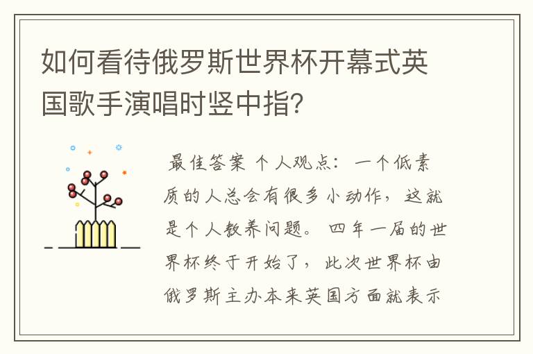如何看待俄罗斯世界杯开幕式英国歌手演唱时竖中指?