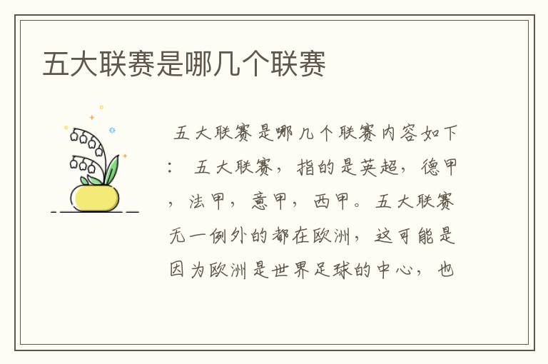 五大联赛是哪几个联赛
