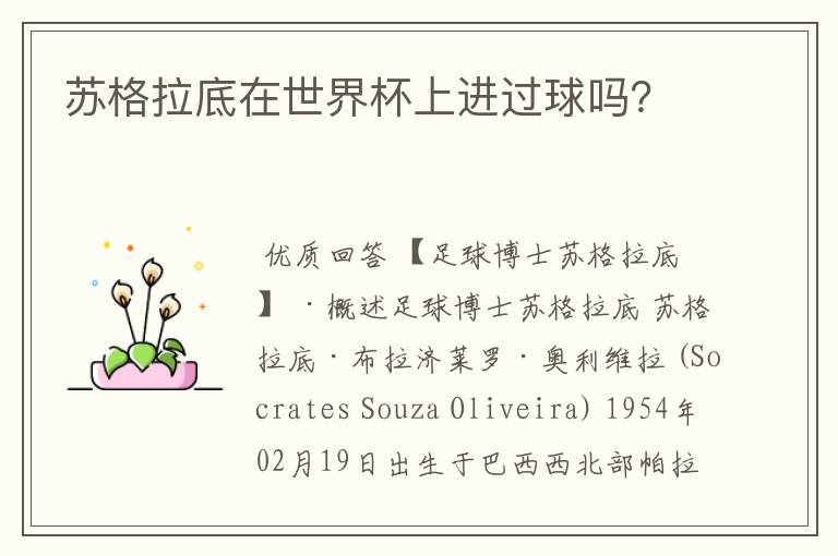 苏格拉底在世界杯上进过球吗?