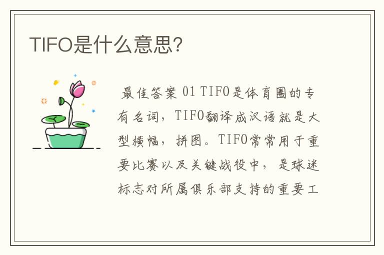 TIFO是什么意思?