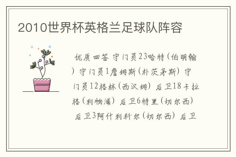 2010世界杯英格兰足球队阵容
