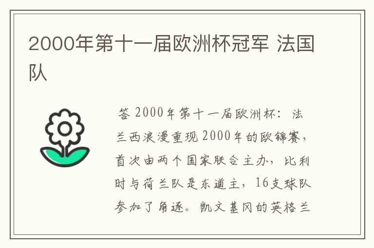 2000年第十一届欧洲杯冠军 法国队