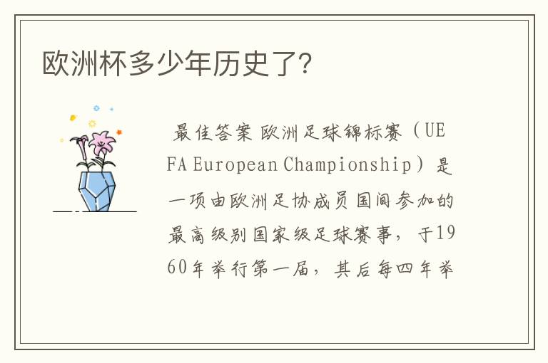 欧洲杯多少年历史了?