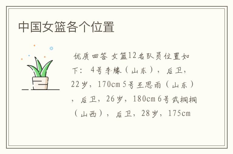 中国女篮各个位置
