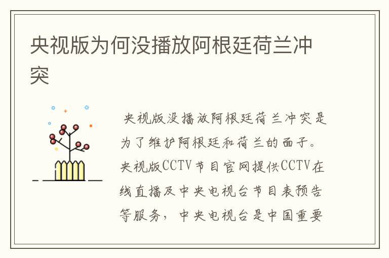 央视版为何没播放阿根廷荷兰冲突