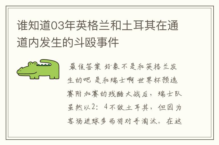 谁知道03年英格兰和土耳其在通道内发生的斗殴事件