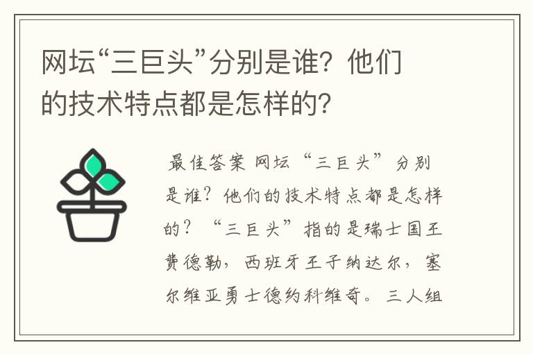 网坛“三巨头”分别是谁?他们的技术特点都是怎样的?