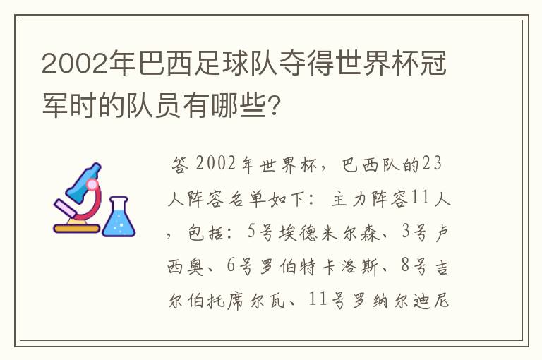 2002年巴西足球队夺得世界杯冠军时的队员有哪些?