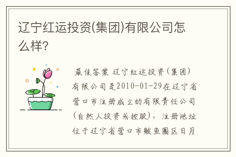 辽宁红运投资(集团)有限公司怎么样?