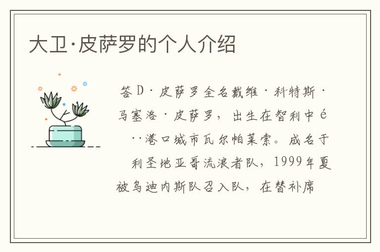 大卫·皮萨罗的个人介绍