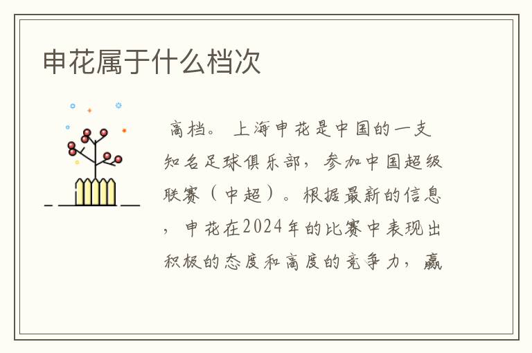 申花属于什么档次