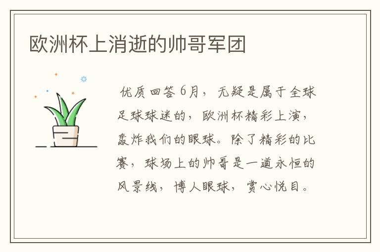 欧洲杯上消逝的帅哥军团