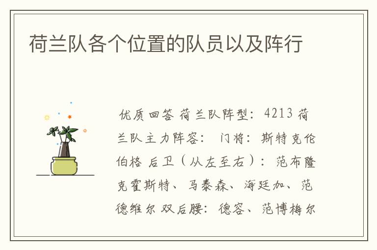荷兰队各个位置的队员以及阵行