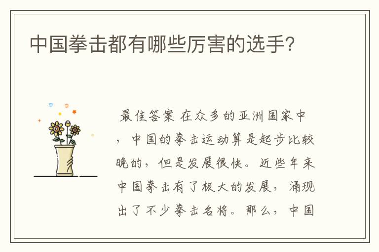 中国拳击都有哪些厉害的选手?