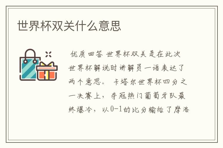 世界杯双关什么意思