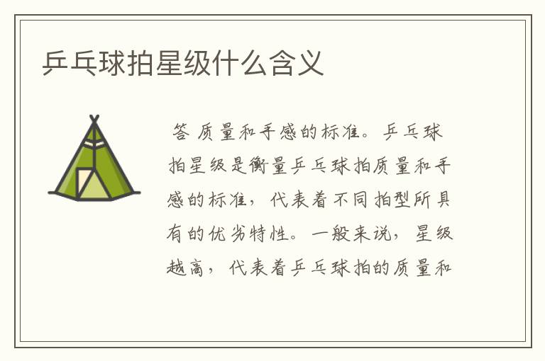 乒乓球拍星级什么含义