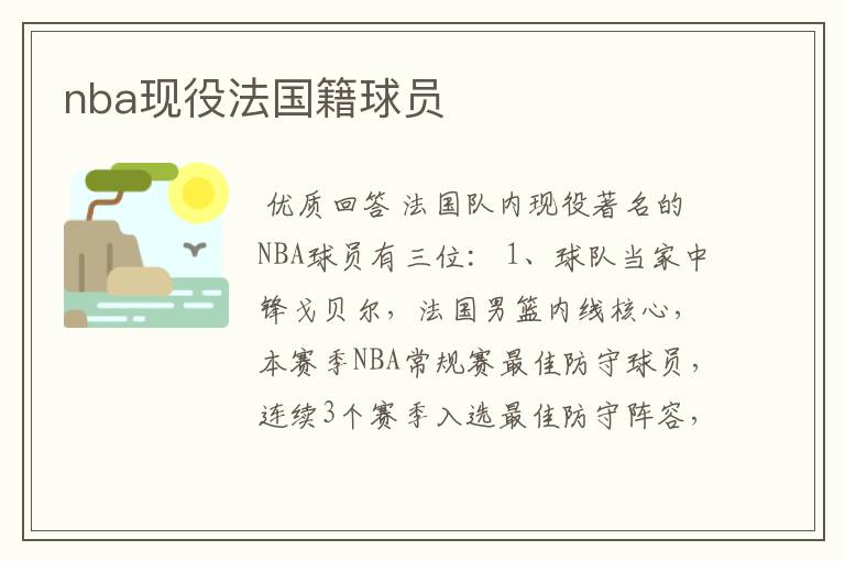 nba现役法国籍球员