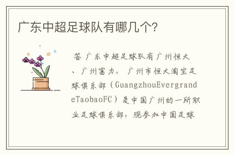 广东中超足球队有哪几个?