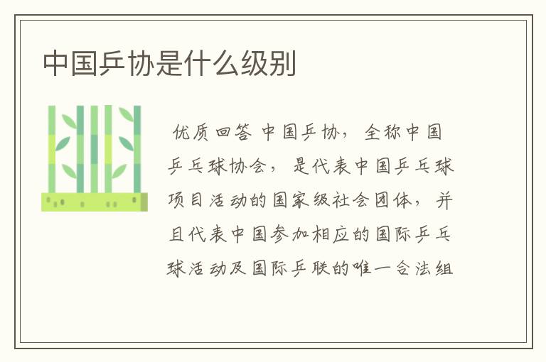 中国乒协是什么级别