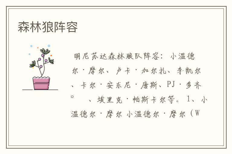 森林狼阵容