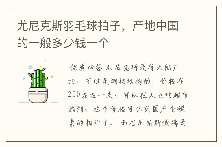 尤尼克斯羽毛球拍子,产地中国的一般多少钱一个