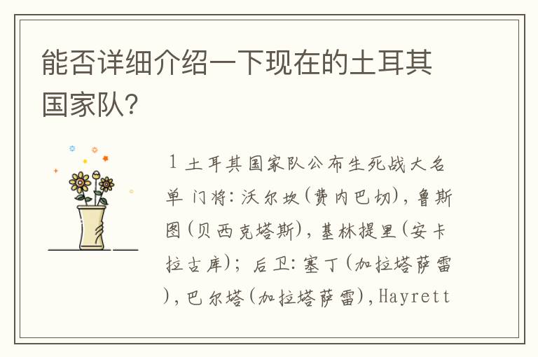 能否详细介绍一下现在的土耳其国家队?