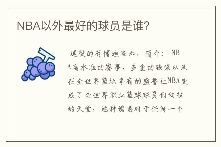 NBA以外最好的球员是谁?