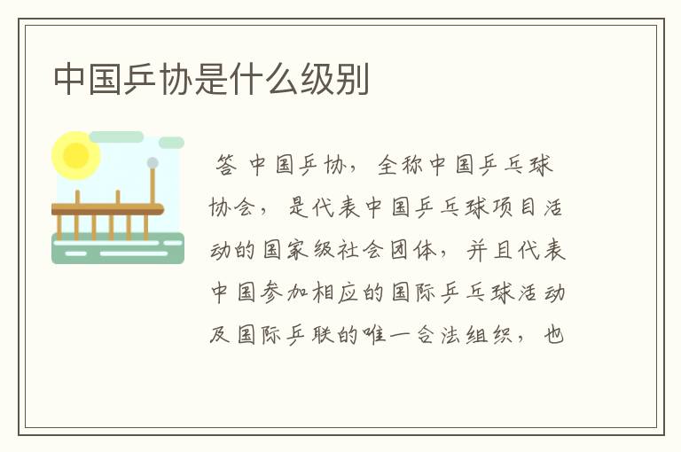 中国乒协是什么级别