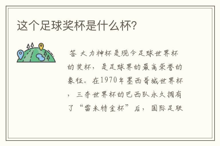 这个足球奖杯是什么杯?
