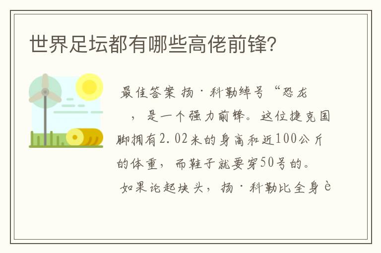 世界足坛都有哪些高佬前锋?