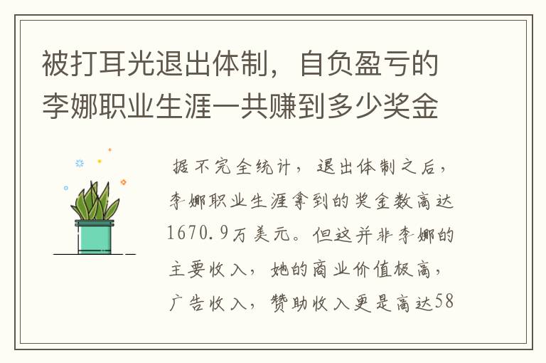被打耳光退出体制,自负盈亏的李娜职业生涯一共赚到多少奖金?