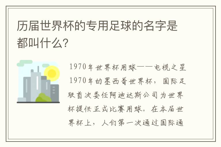 历届世界杯的专用足球的名字是都叫什么?
