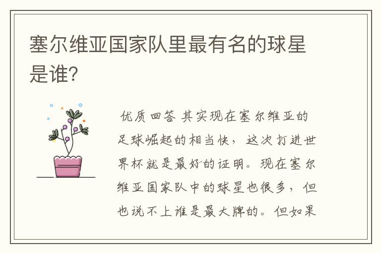 塞尔维亚国家队里最有名的球星是谁?