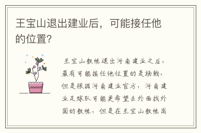 王宝山退出建业后,可能接任他的位置?