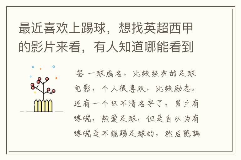 最近喜欢上踢球,想找英超西甲的影片来看,有人知道哪能看到吗