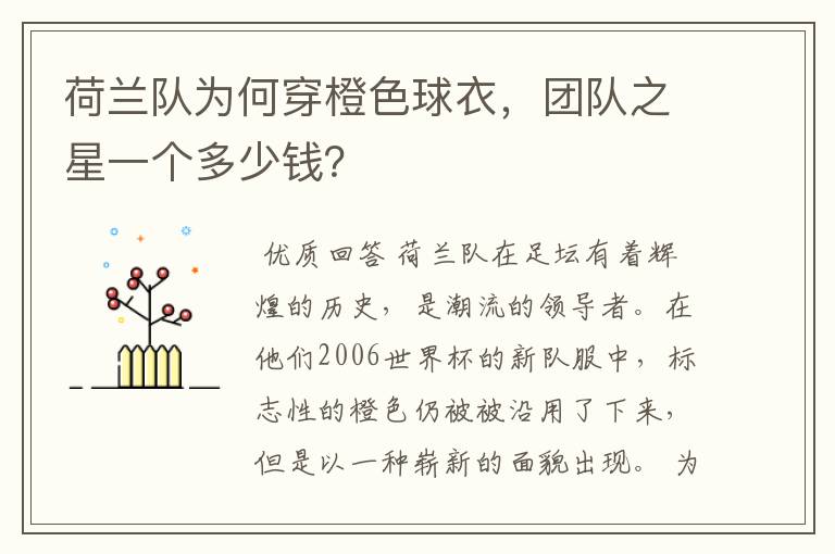 荷兰队为何穿橙色球衣，团队之星一个多少钱？