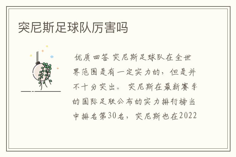 突尼斯足球队厉害吗