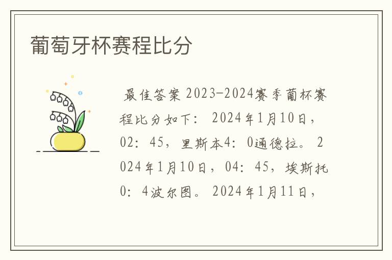 葡萄牙杯赛程比分