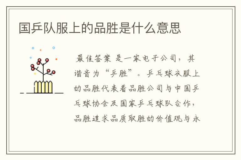 国乒队服上的品胜是什么意思