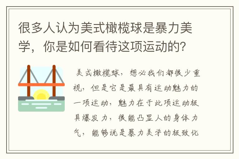 很多人认为美式橄榄球是暴力美学,你是如何看待这项运动的?