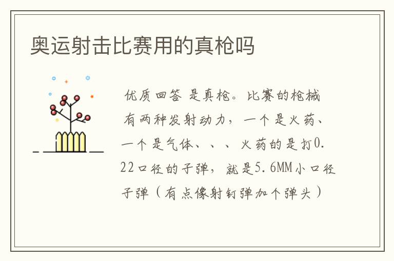 奥运射击比赛用的真枪吗