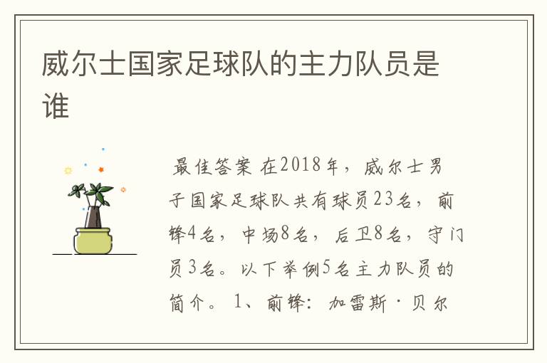 威尔士国家足球队的主力队员是谁