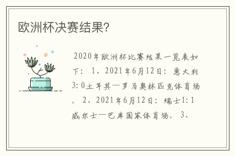 欧洲杯决赛结果?