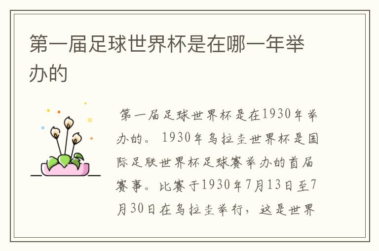 第一届足球世界杯是在哪一年举办的
