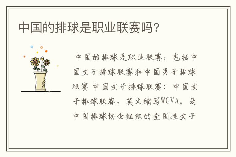 中国的排球是职业联赛吗?