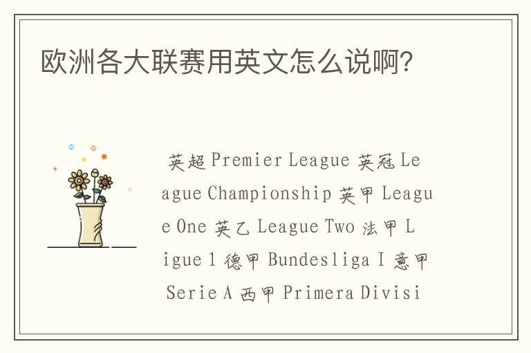 欧洲各大联赛用英文怎么说啊?