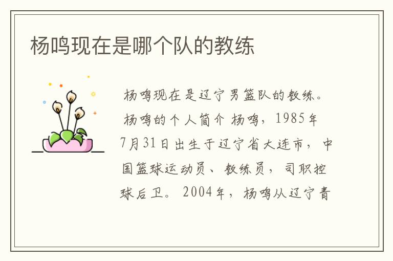 杨鸣现在是哪个队的教练