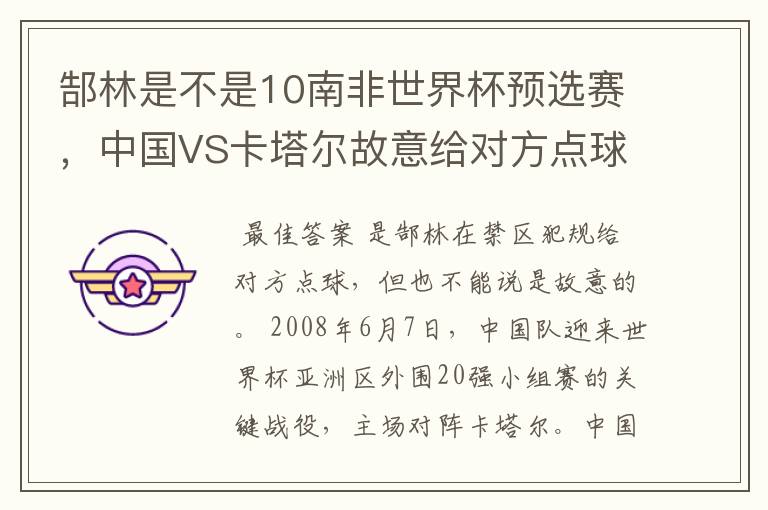郜林是不是10南非世界杯预选赛，中国VS卡塔尔故意给对方点球那人
