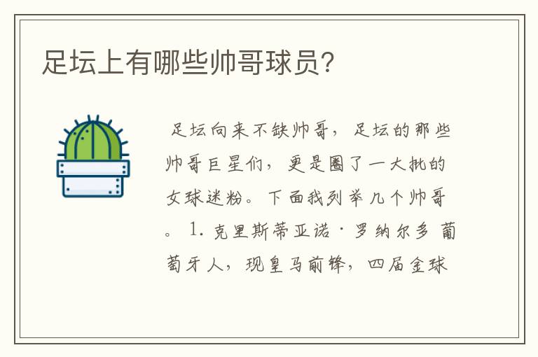 足坛上有哪些帅哥球员?